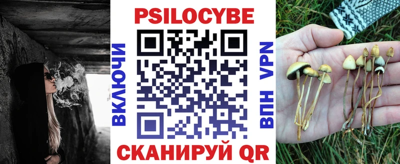 Купить где  Городовиковск  Галлюциногенные грибы Cubensis 