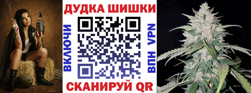 Бошки марихуана индика  Купить закладки  Городовиковск 